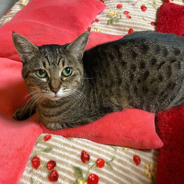 09a70351 2515 488e bff0 0b84f3b06c1c 1766742261769