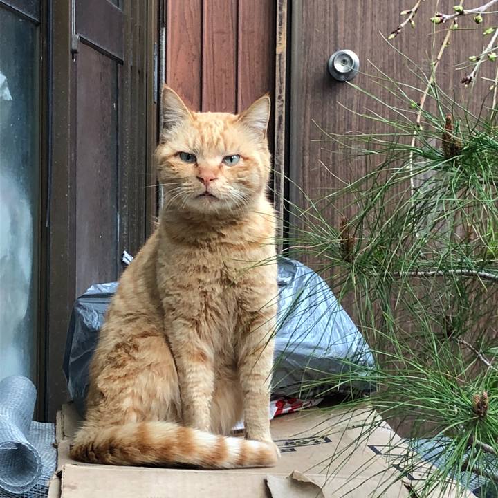 09a7042b 7b1e 4876 bd51 3b4283bf0a7e 1521795964478