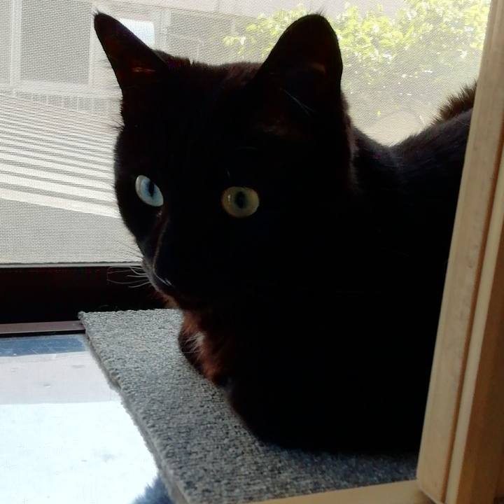 09a73362 9135 4c51 841e 2f0f4c673f25 1623802444995