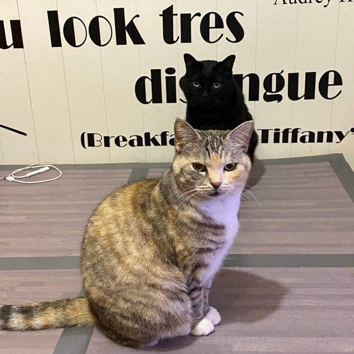 09a758b5 9622 459c b0fe 8684d4c196c7 1649689332749