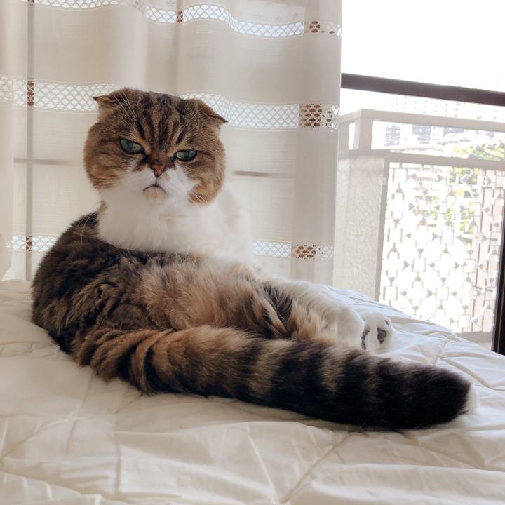 09a787d2 dc0b 498a 8be8 36519205e0ef 1591522138349