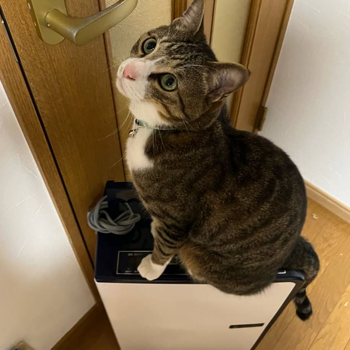 09a7b0ea 5543 4399 91fe 37a7f839834f 1718229092124