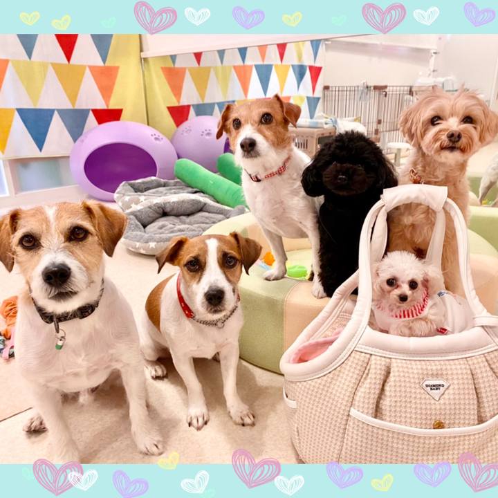 09a7c4c4 75ee 4147 8525 74d4fb185811 1606375827515