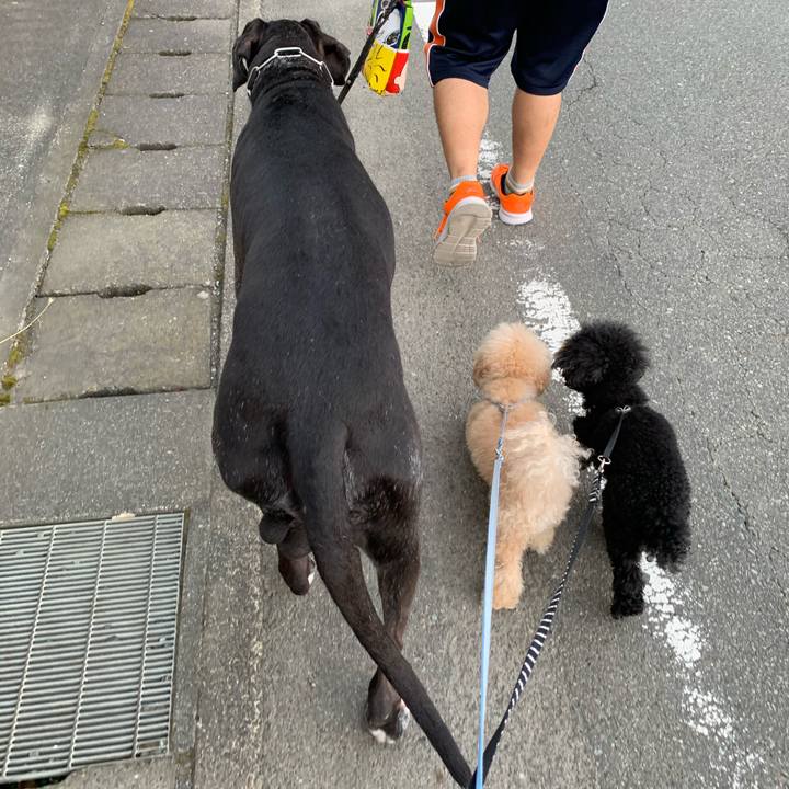 09a8111a c360 43e6 b3be 995b5e767aa1 1598740533584