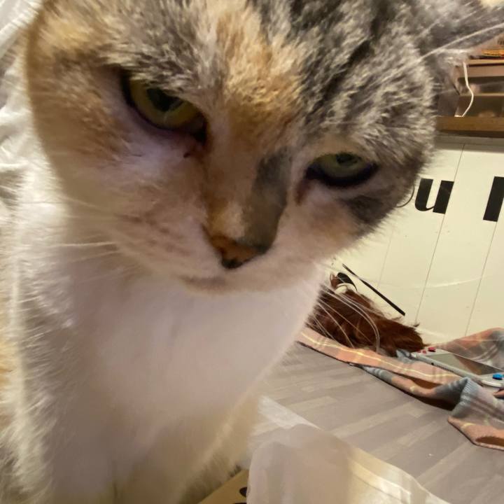 09a83f5a d810 4d6d a7bb afe63a26286f 1612537158298