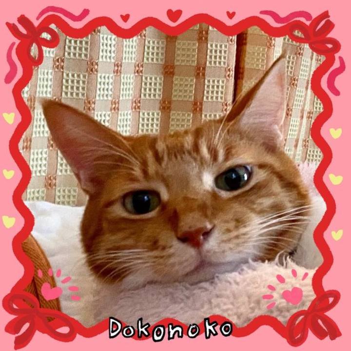 09a85309 348b 478d a330 c5b0b3646e65 1707904550870