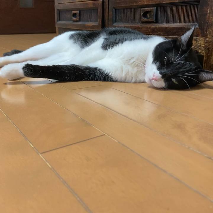 09a86dfa f36e 445a 8124 7518d96f2490 1639601887610