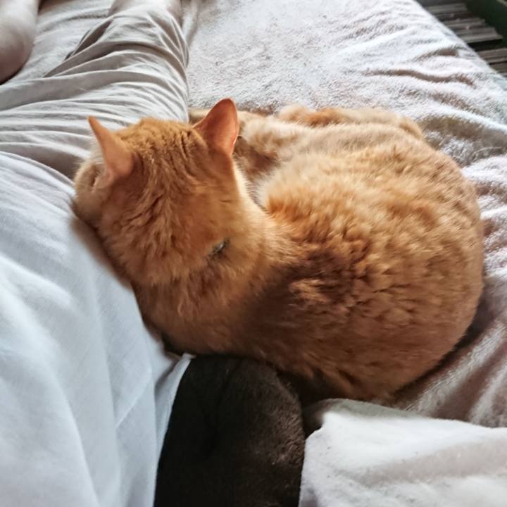 09a88276 86fe 4a13 bf11 1dfae4b73a04 1660631441476