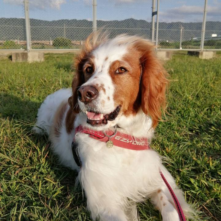 09a891af 4ac6 4868 af75 6b085d16dad5 1601963862012