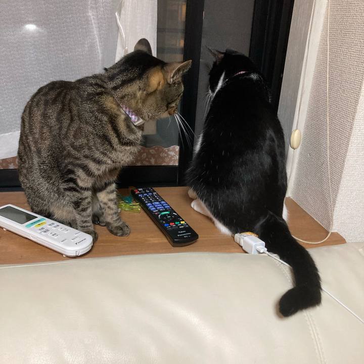 09a89fcd 3071 4815 a362 d2a14b375d69 1633248939890