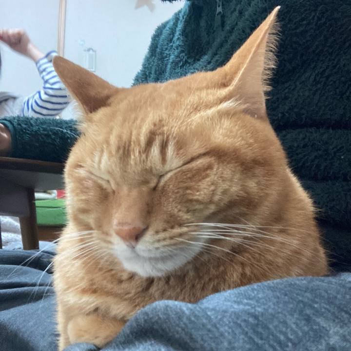 09a8b263 dd76 4d78 ba24 0e9a1a98c4b7 1768703369941