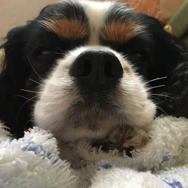 09a91da3 62ef 401e a02d 8ec0dfc1c544 1524527690828