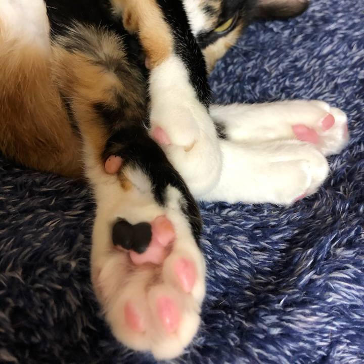 09a9406d 9481 475a a800 d7677c576f9a 1618260637670