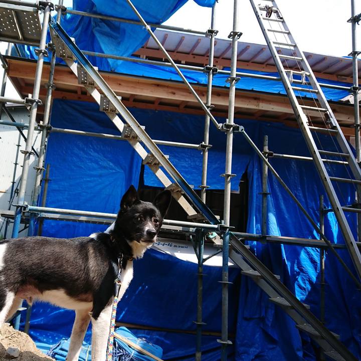 09a982a5 4a73 41e3 b766 9c5847ae8ee7 1554604666859