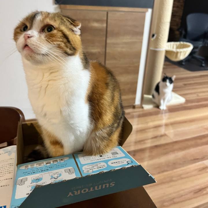 09a992a2 2c42 4139 a462 0461b5cabaaf 1748264943853