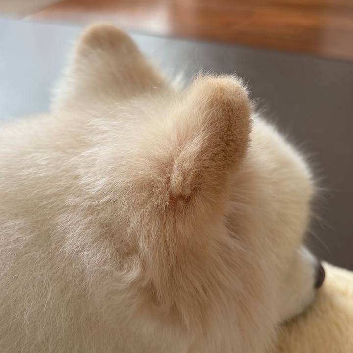 09a9962e c934 4b33 a288 ba06d3ac1cb0 1771070668638