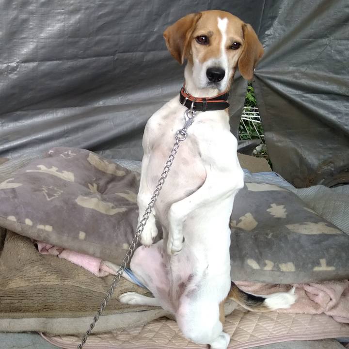 09a9993f 9e27 46f0 b446 5dea37b6e51b 1634653197227