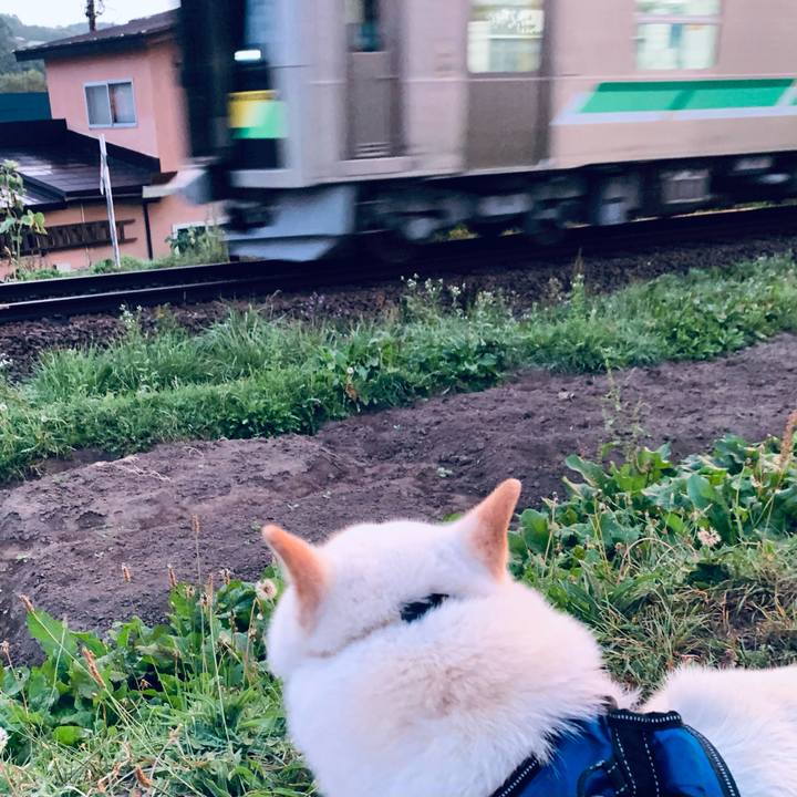 09a9c850 4519 45b3 a1ea d54b6d591caf 1663447331344