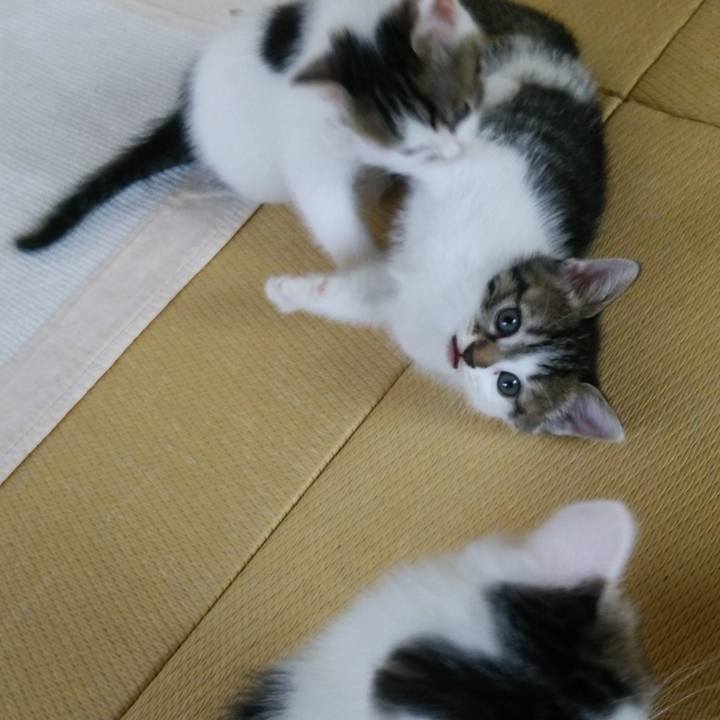 09a9d6f7 6813 4a23 86a5 820dc2fff7f8 1534228511206