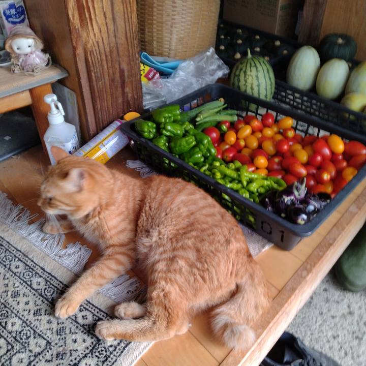 09a9d88f 7dc1 43a7 82de 30621cf7ff38 1722987530627