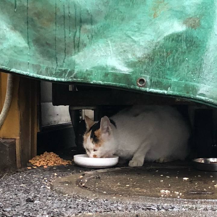 09a9ecaf 3af2 4fea 8a07 d26c0c6ef89c 1583821198500