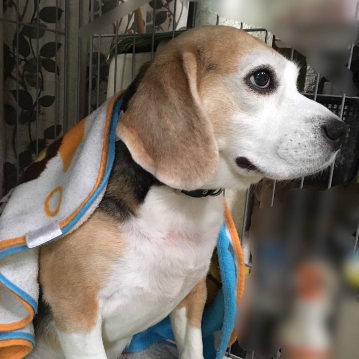 09aa8287 e02f 4acc 9af1 c542b72c743c 1538312107048