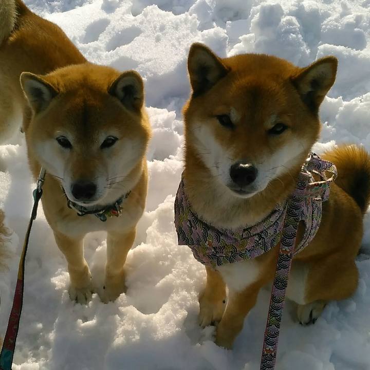 09aaafdb 3d78 4eda 88d0 d981c53ff85f 1516691513005