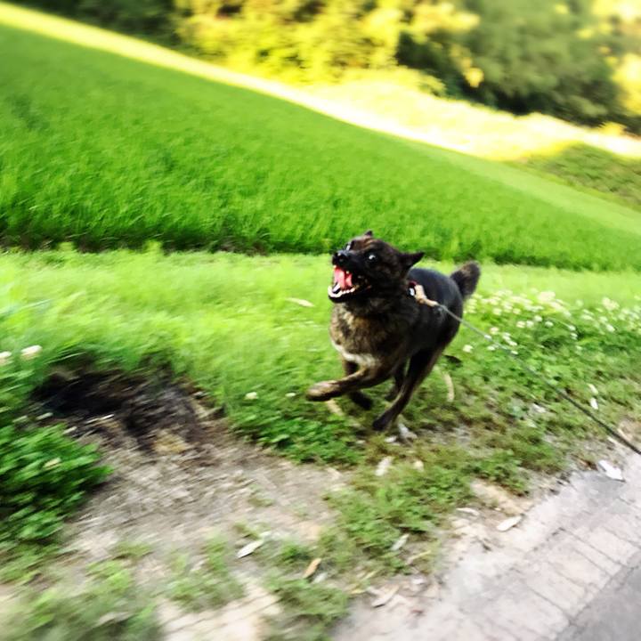 09aacd2f 551d 4f8c 9c68 2a37aca32716 1530525036643