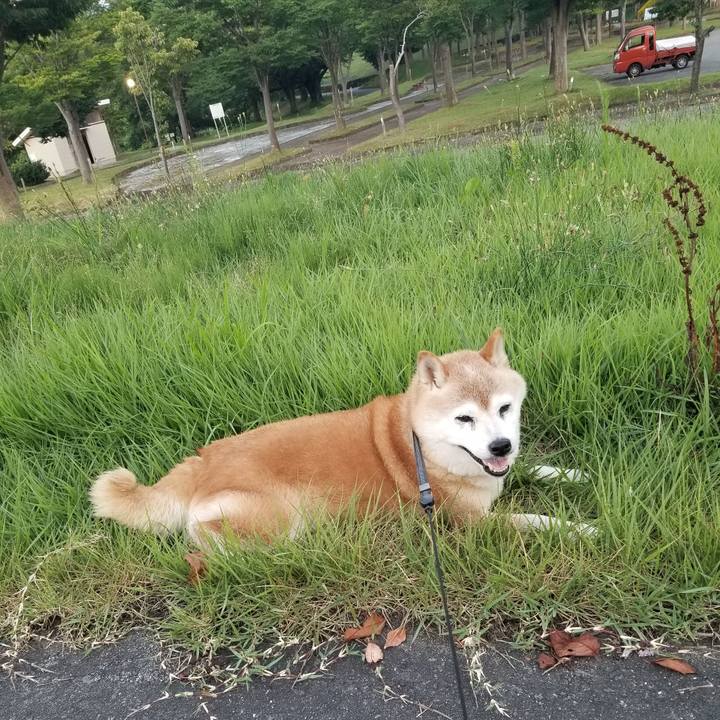 09aad5aa f726 4fc3 9a22 a9baeaae16c1 1723196016413