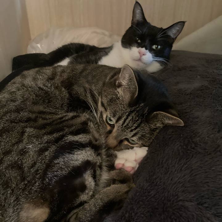 09ab3328 8ff0 4702 af8e 361b63b0db1a 1709552519710