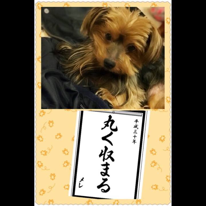 09ab365e 5961 4c4c b529 fbc8dee4f5d8 1514897650164