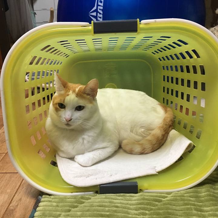 09ab4aa7 cf52 40b0 a4e2 18e025242548 1547901703028