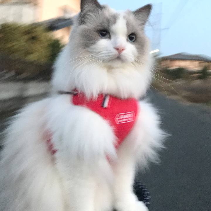 09ab6eac b09d 49ef aa92 ca574b753258 1608110896457