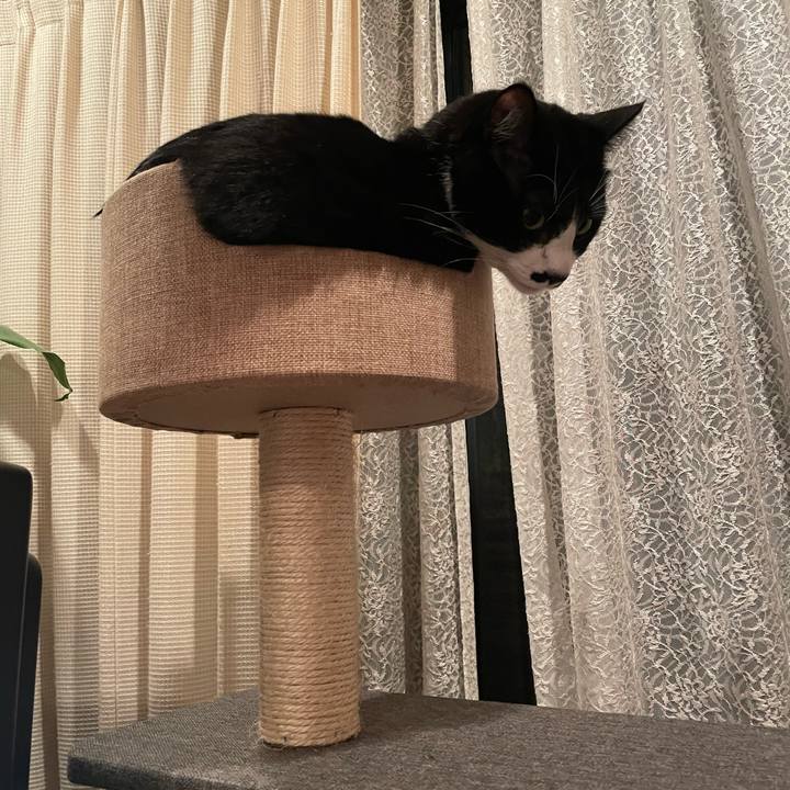 09ab6f61 f1d1 43f6 ad98 0cdd632beef6 1671882795978