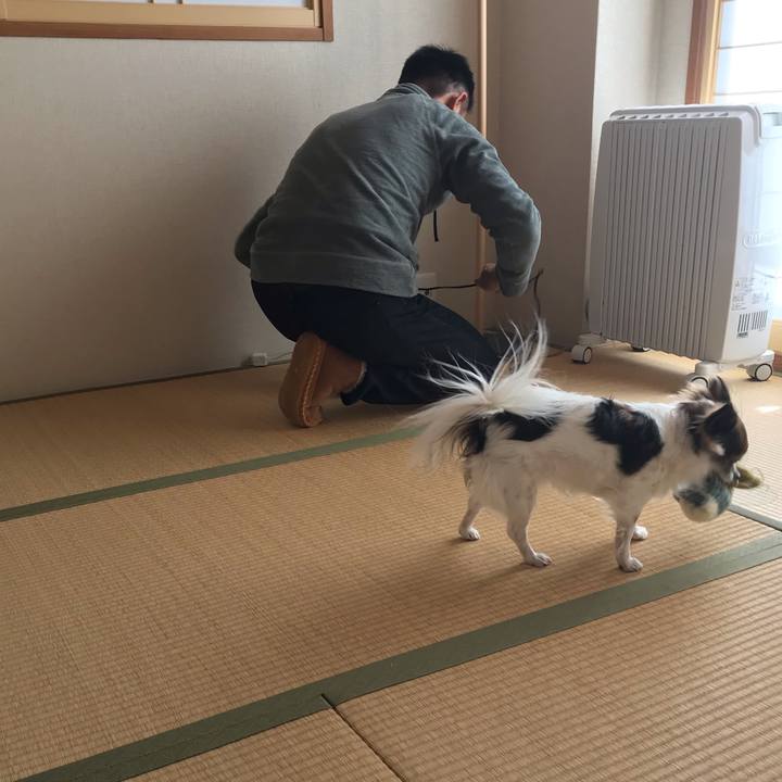 09aba397 b0b4 4f49 8755 82d8df330005 1546141622226