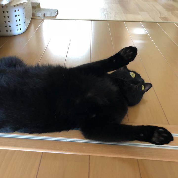 09abf456 1b60 4439 af41 bf7ecd2b4365 1528513996220