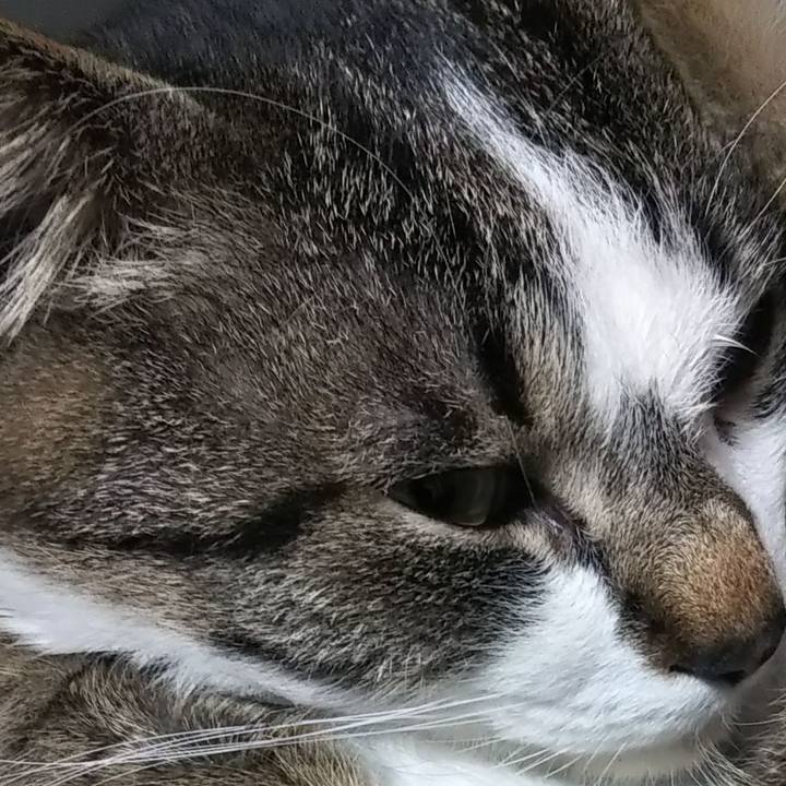 09ac19b1 d6ba 4592 b512 441680731a65 1617762453812