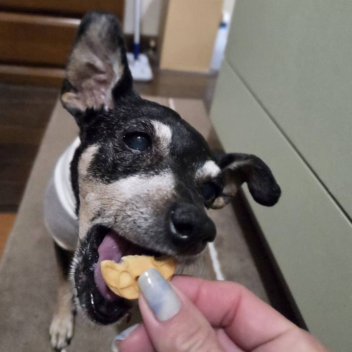 09ac1f41 d951 4816 9cc2 f2a923d79edb 1771616282312