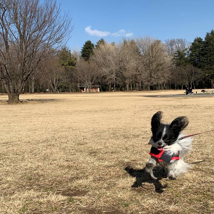 09ac294e d6a6 441c 86aa 15f59ee7a67f 1548794653916