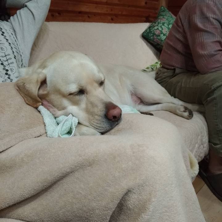 09ac66fd 32df 4edc a86d 0c781e677c0d 1573211779720