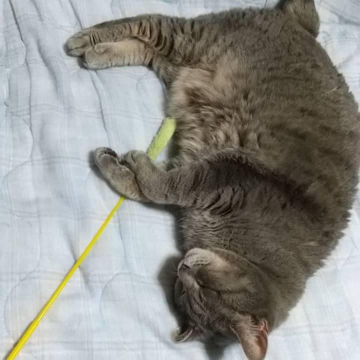 09ac73c0 1d42 4dbd aa47 e1e6dab43a83 1628076623676