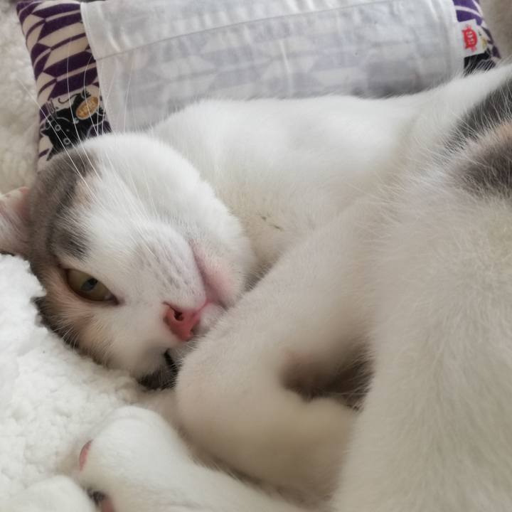 09acee6d 9922 46c9 88d7 d1e8b336519c 1515466037393