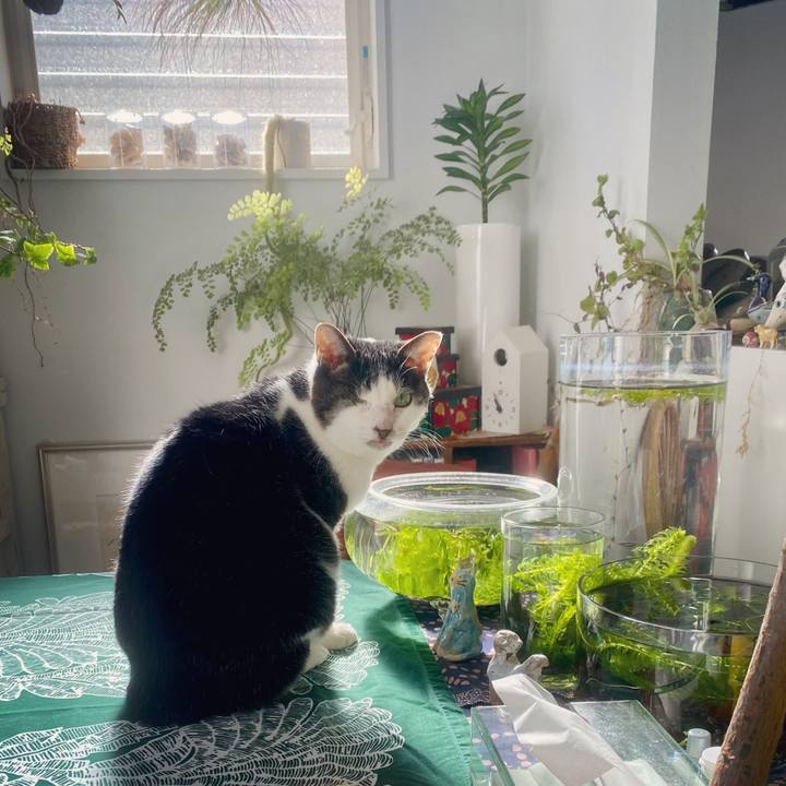 09acf9f1 d4e2 4b10 9d1d a9741ddfddc4 1638590082698