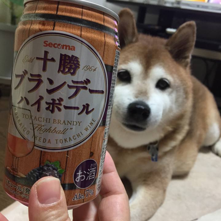 09ad197f e903 43c1 a1a2 a5aeccfaf55e 1540555070309