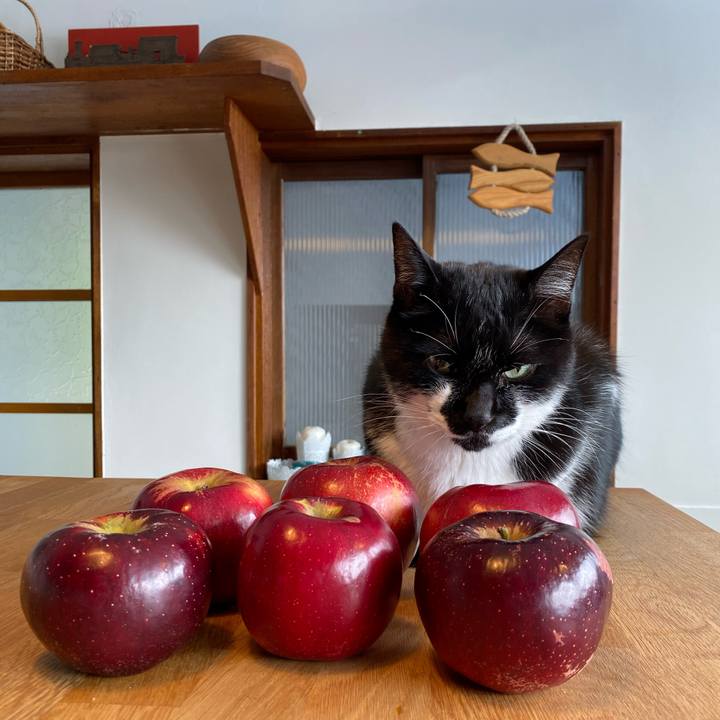 09ad1e61 3133 4fcd 8921 e2915a909241 1632630277444