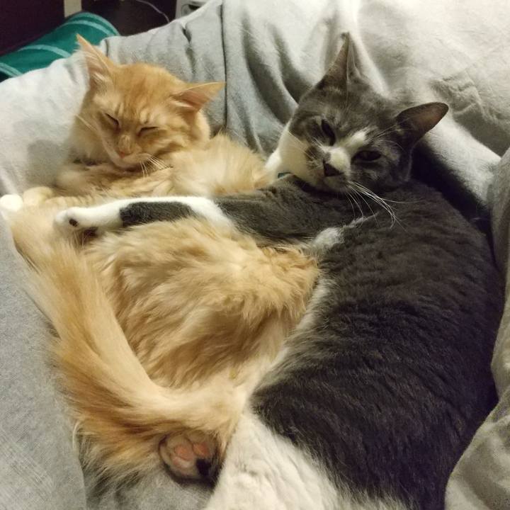 09ad20cc 16a4 43c9 b326 8f9ec7612916 1635339722921