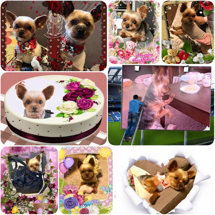 09ad2ade 7d3c 44d9 9e1e d3c4c05b81b0 1615588219678