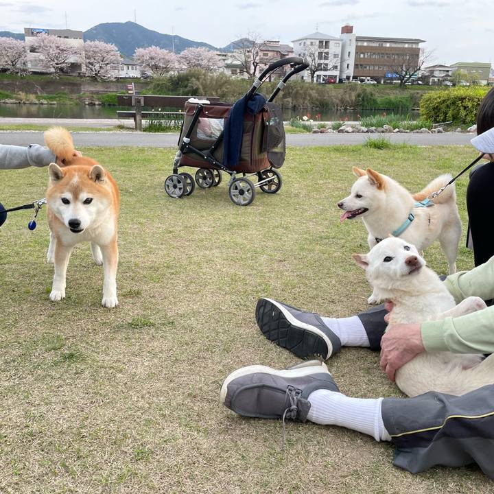 09ad5340 548a 486b b425 c070c5522e81 1680434706474