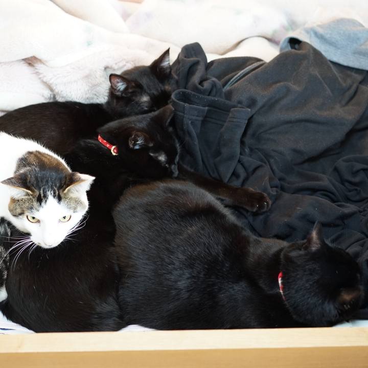 09ad58a7 f6eb 4fd6 810c 19df8f68e42f 1550293995406