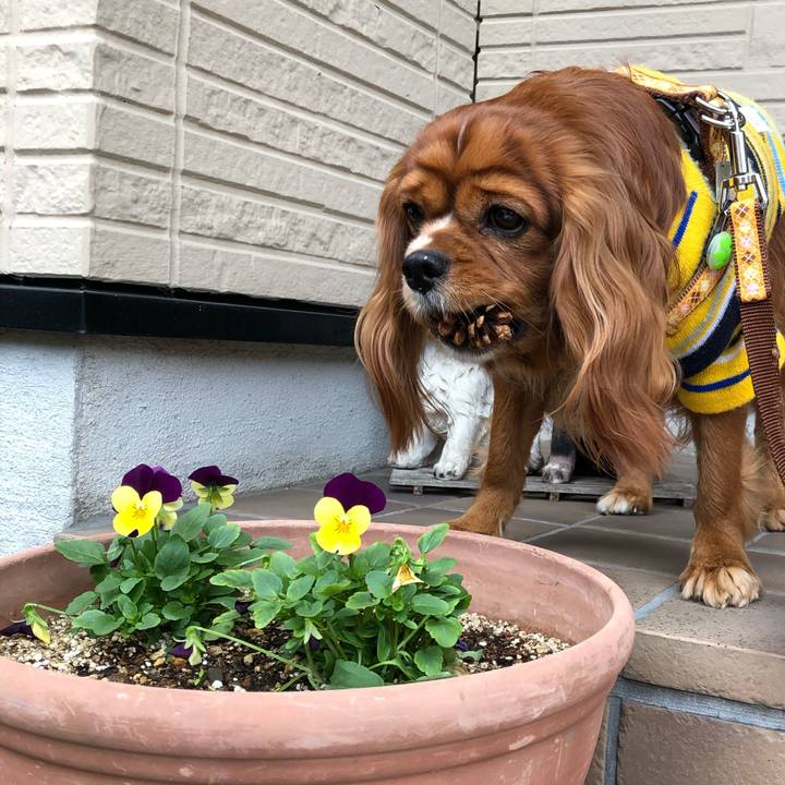 09ad93bb f07a 4d35 a3f4 56477277d523 1607819606350